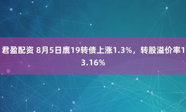 君盈配资 8月5日鹰19转债上涨1.3%，转股溢价率13.16%